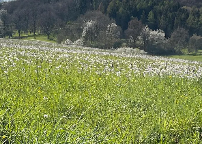 Hesselberg-oase Huettner *