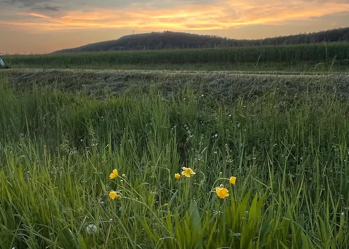 Hesselberg-oase Huettner
